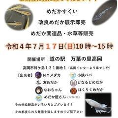 富山で初のメダカ、メダカ関連商品イベントです。