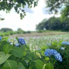 🎀女性のお友達募集🎀(お茶☕️ランチ🍽お散歩🚶‍♀️などなど) - 友達