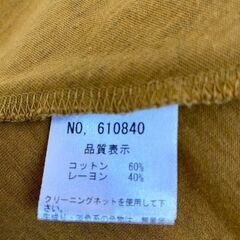 Aライン　チェニック丈Tシャツの画像