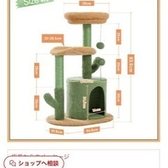 サボテンキャットタワーの画像