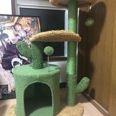サボテンキャットタワー