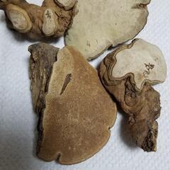 さるのこしかけの画像