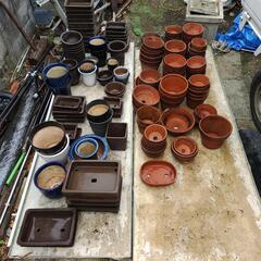 中古植木鉢