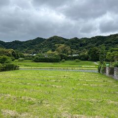 鋸南町大帷子の土地67.3坪更地 - 土地販売/土地売買