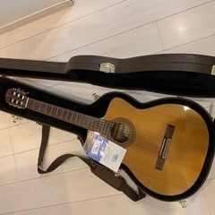 TAKAMINE ( タカミネ )  EC132SC 