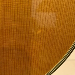 TAKAMINE ( タカミネ )  EC132SC の画像