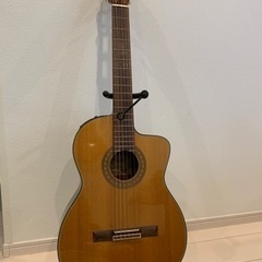 TAKAMINE ( タカミネ )  EC132SC の画像