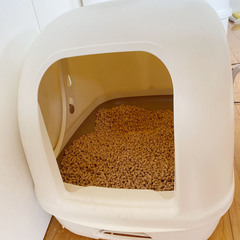 猫トイレ_デオトイレUSED　無料の画像