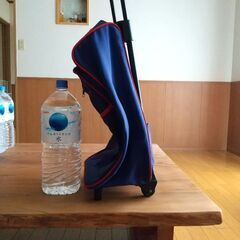 キャリーバッグの画像