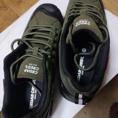 セダークレストの靴