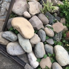 庭石（丸石）もらってください