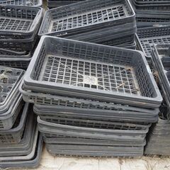 苗箱まとめて１セット（約200枚）　（小分けは無し）の画像