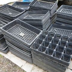 苗箱まとめて１セット（約200枚）　（小分けは無し）