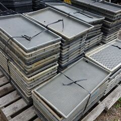 稲の苗トレイ１セットまとめて（約100枚前後くらいで、小分けは無しで）の画像