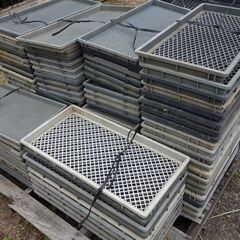 稲の苗トレイ１セットまとめて（約100枚前後くらいで、小分けは無しで）