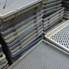 稲の苗トレイ１セットまとめて（約100枚前後くらいで、小分けは無しで）の画像