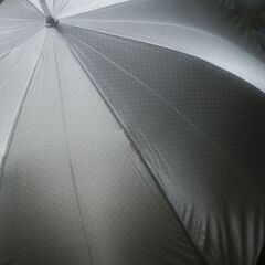 傘　新品　長傘⑧　ドット柄の画像
