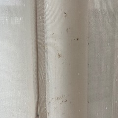 【引っ越し間近につきさらに価格下げます】3年前に購入！リビングで利用のオーダーカーテンの画像