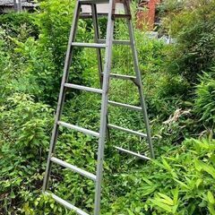 脚立さしあげます
