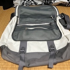 【お渡し済み】①THE NORTH FACE バッグ 白の画像