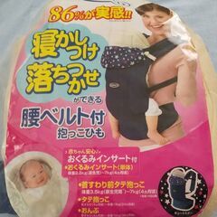 おんぶだっこ（中古）の画像
