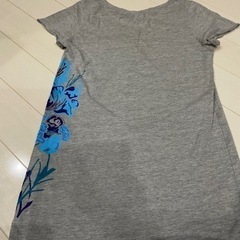 Tシャツの画像