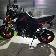 z125pro