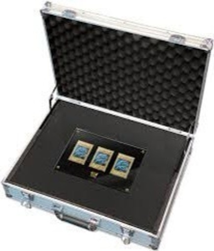 急募！早いもの勝ち！　アルティメット海馬セット