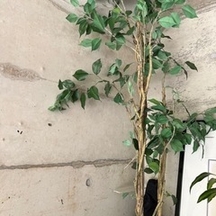 観葉植物　フェイク　グリーン　ニトリ