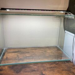 ６０ｃｍ水槽セット（水槽＋照明＋ろ過）