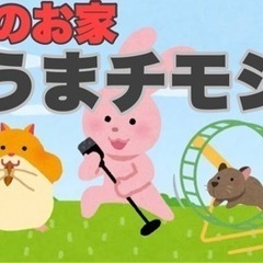 【着払い】アメリカ産1番刈りチモシー 1kg【送料無料も有】