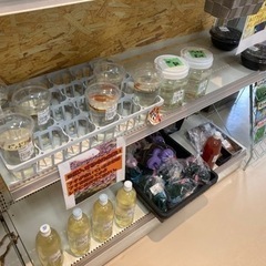 山梨　ふるさと長寿館　直売所　メダカ　販売 - 地元のお店
