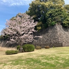 百名城 続百名城  登城仲間🏯  - 中央区