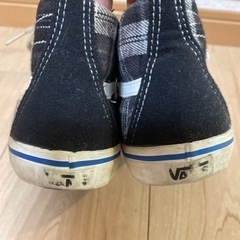 ハイカット　バンズ  スニーカーの画像