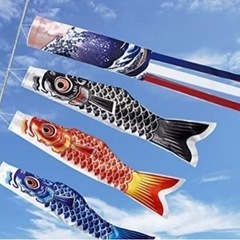 鯉のぼり🎏不要になった鯉のぼりをください🙏