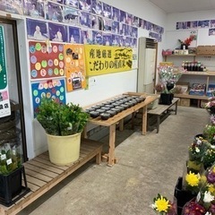 本日も販売中の画像