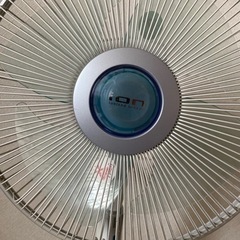 これからの時期活躍❣️の画像