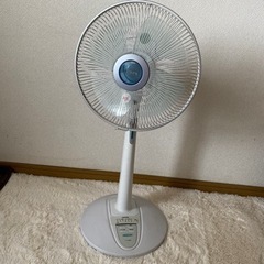 これからの時期活躍❣️の画像