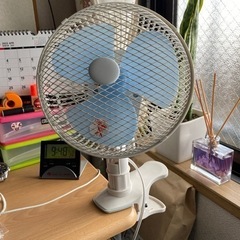 これからの時期活躍❣️の画像