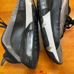 NIKE エアマックス2090の画像