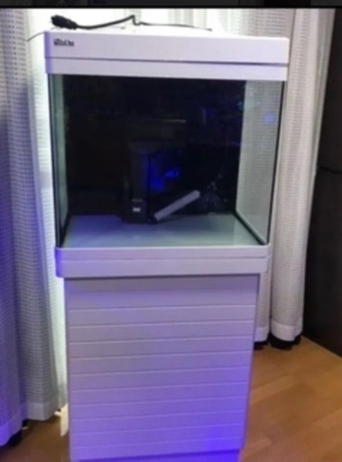 家具 Red Sea MAX130D