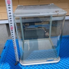 テトラ　水槽の画像