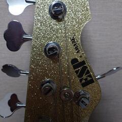 AMAZE-CTM-SL5/R CTM COLOR　5弦ベースの画像