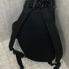 【新品】BAGS アルトサックス 用 ファイバーケースの画像