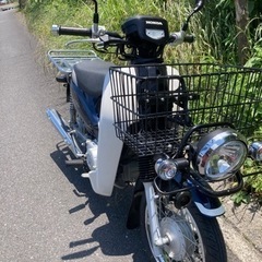 カブプロ110