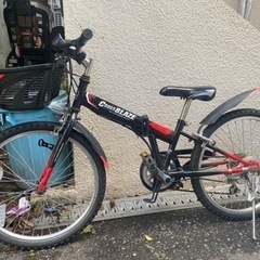 子供用自転車 My Pallas(マイパラス) マウンテンバイク...