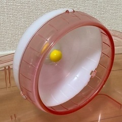 【手渡し限定】ハムスター　飼育セット　一式　15,000円相当の画像