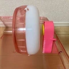 【手渡し限定】ハムスター　飼育セット　一式　15,000円相当の画像