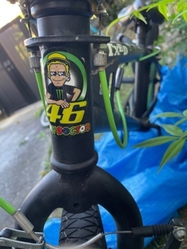 THEDOCTOR ＴＸＥＤ