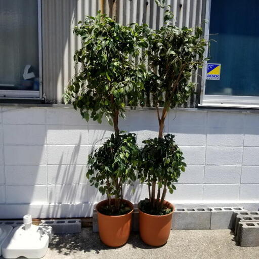 【菱野】 フェイクグリーン 観覧植物 人工観葉樹 観葉植物 造花  オフィス インテリアグリーン 植物 造花 ミニ 大型 中型 飲食店 店舗 装飾 緑 人工観葉植物 飲食店   インテリア